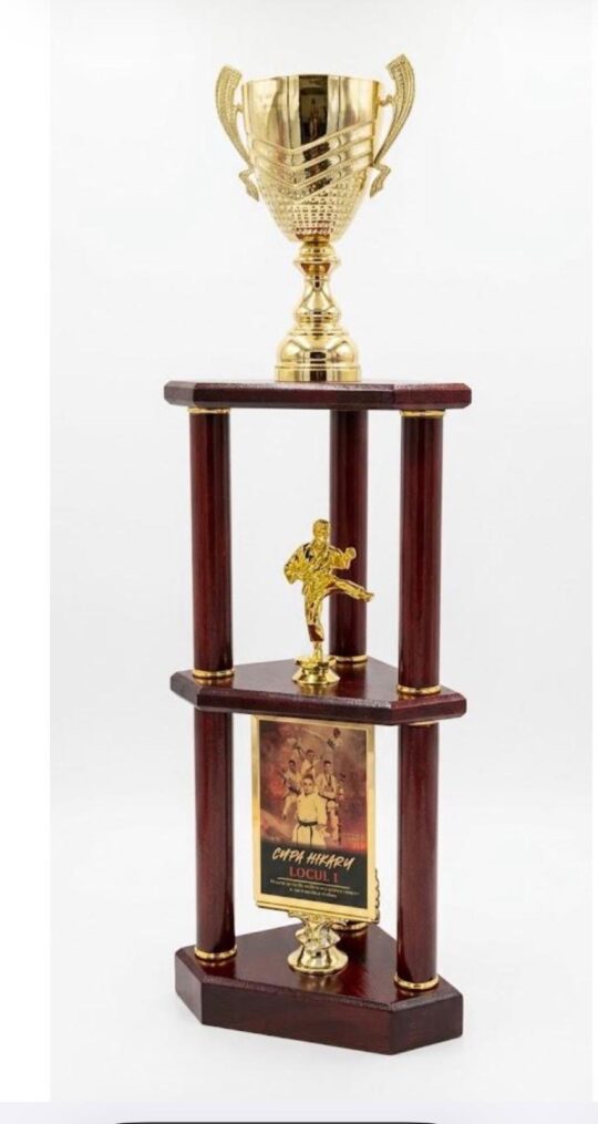 Trofeul TR2 Trofeul TR2 personalizat pentru eveniment de karate