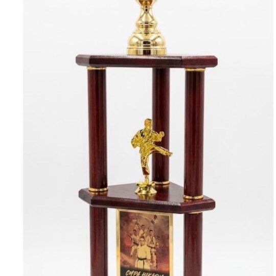 Trofeul TR2 personalizat pentru eveniment de karate