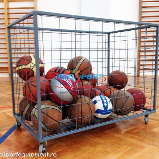 Container pentru echipamente sportive umplut cu mingi