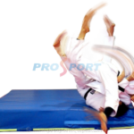 Saltea proiectari cu Larisa Florian executand procedeu de judo