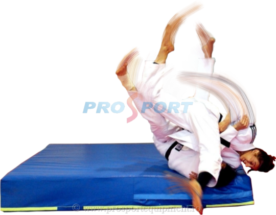 Saltea proiectari cu Larisa Florian executand procedeu de judo