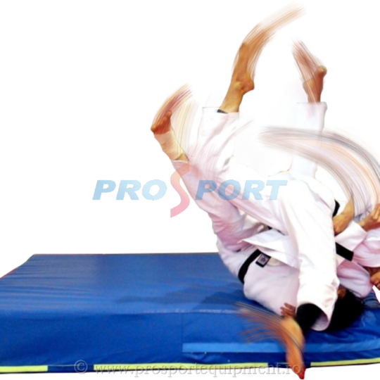 Saltea proiectari cu Larisa Florian executand procedeu de judo