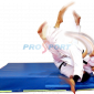 Saltea proiectari cu Larisa Florian executand procedeu de judo