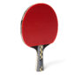 paleta tenis JOOLA CarbonPRO