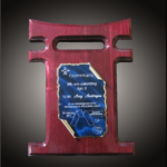 Placheta PL4 personalizata