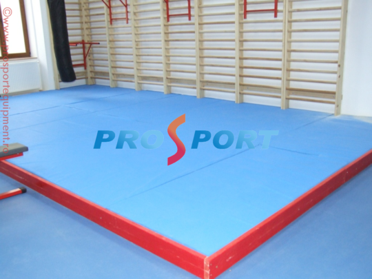 Podium pentru judo dispus in sala