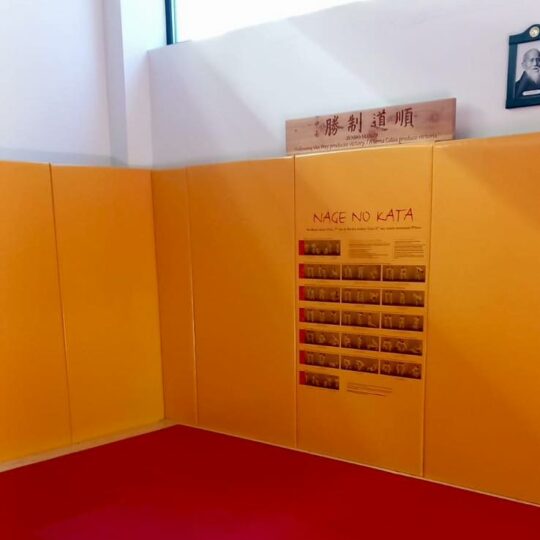 protectie anticoliziune personalizata