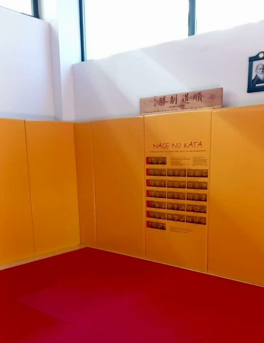 protectie anticoliziune personalizata