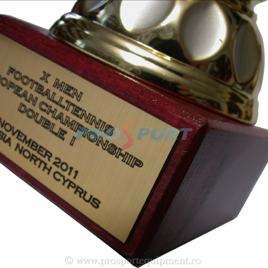 Personalizare cupe trofee figurine