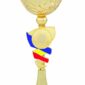 Cupa RO1 tricolor
