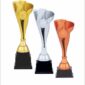 Trofeu pro67225 in 3 versiuni