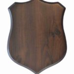 Placheta PL21