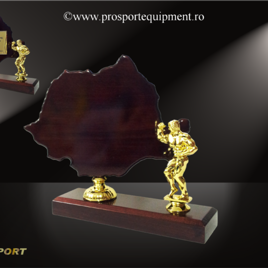 Trofeul TR38 "Romania" cu figurina pentru culturism