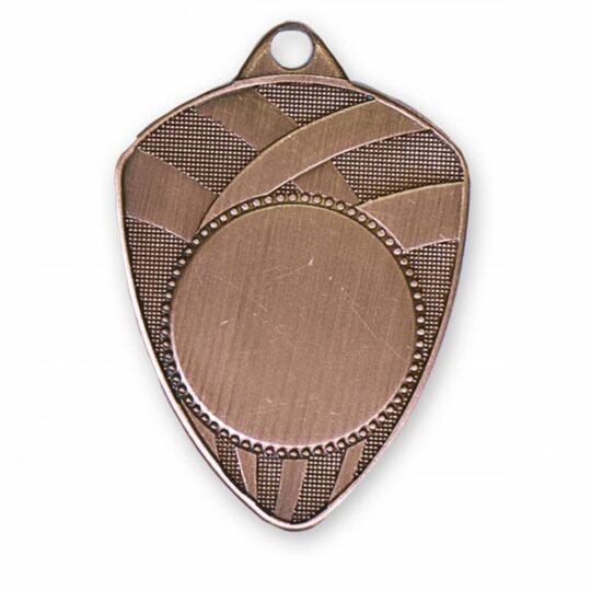 medalia e574 bronz