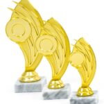 Trofeul pro67718 in 3 marimi