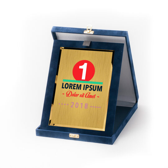 Cutia-placheta DP83 cu placa personalizata