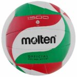 Minge volei MOLTEN V5M1500