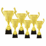 Cupa PRO13023 in set de 6 marimi descrescatoare