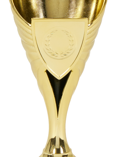 Trofeu PRO67926 fara personalizare