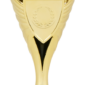 Trofeu PRO67926 fara personalizare
