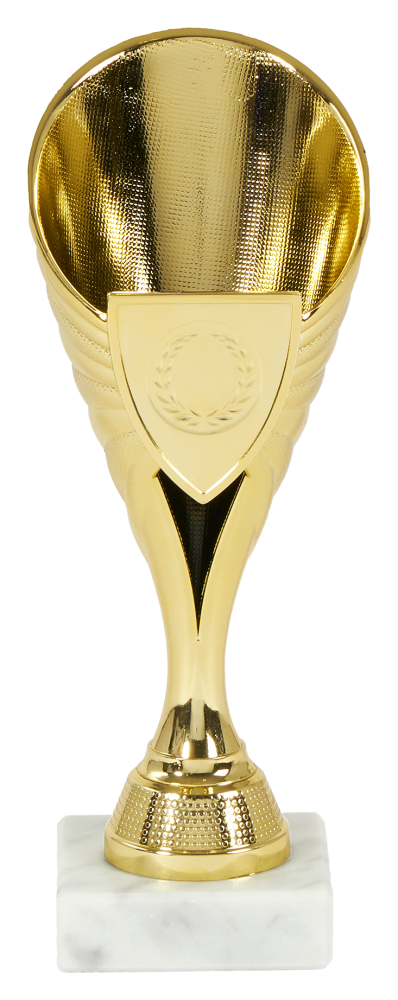 Trofeu PRO67926 fara personalizare