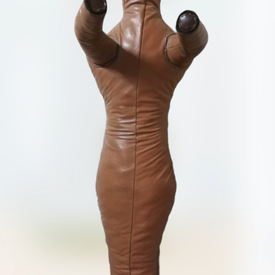 manechin lupte 1 picior, vazut din fatafata