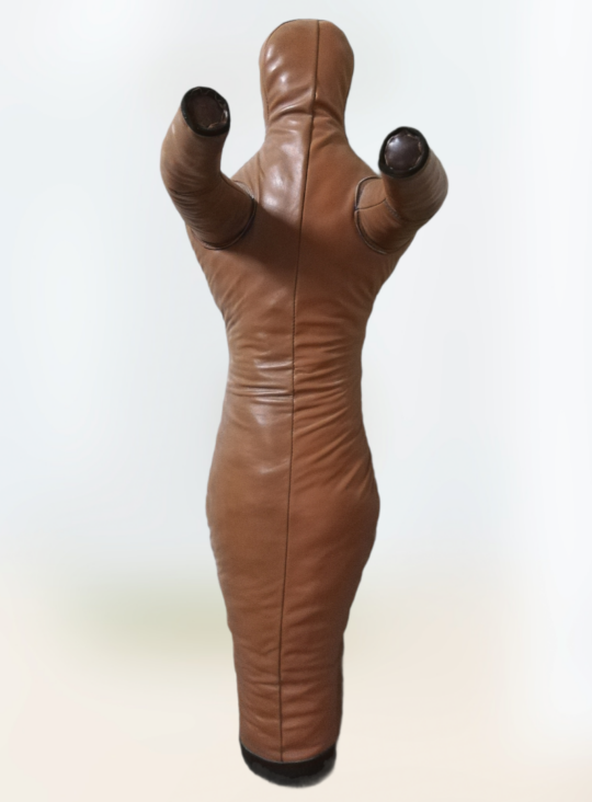 manechin lupte 1 picior, fata manechin lupte 1 picior, vazut din fatafata