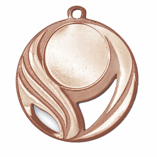 medalia e595 bronz