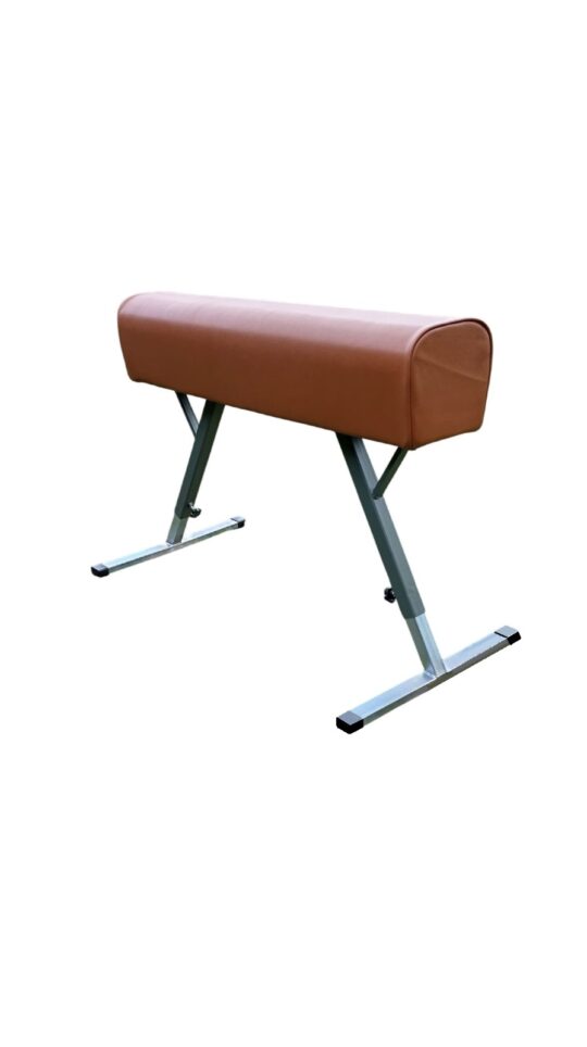 Cal gimnastica piele Cal gimnastica piele