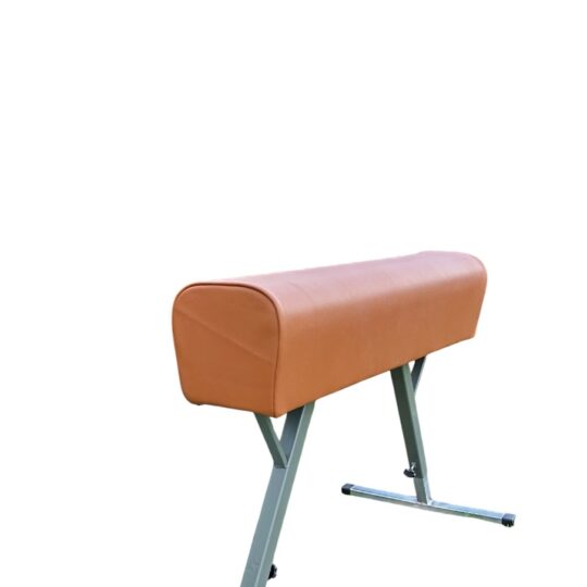 Cal gimnastica piele