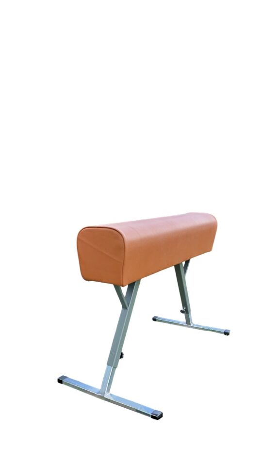 Cal gimnastica piele