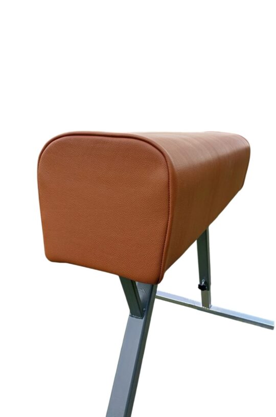 Cal gimnastica piele