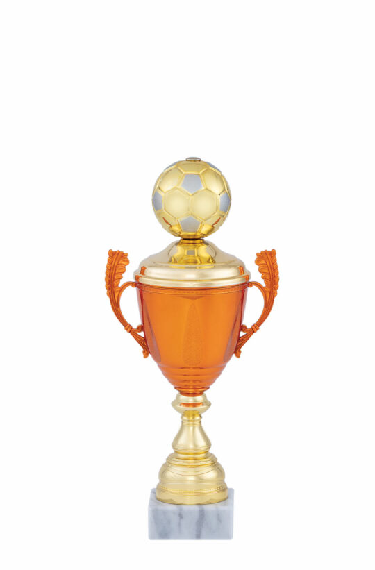Cupa PRO32025 bronz