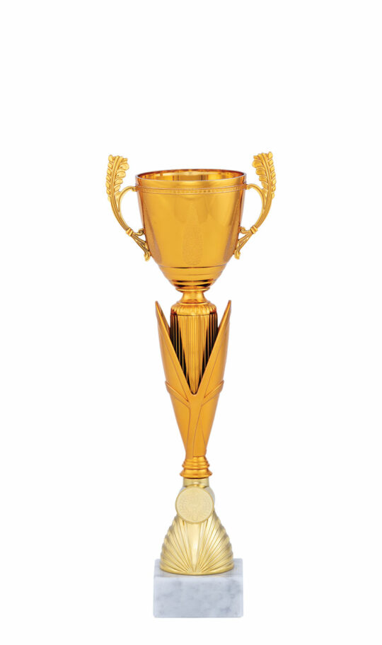 Cupa pro40225 bronz