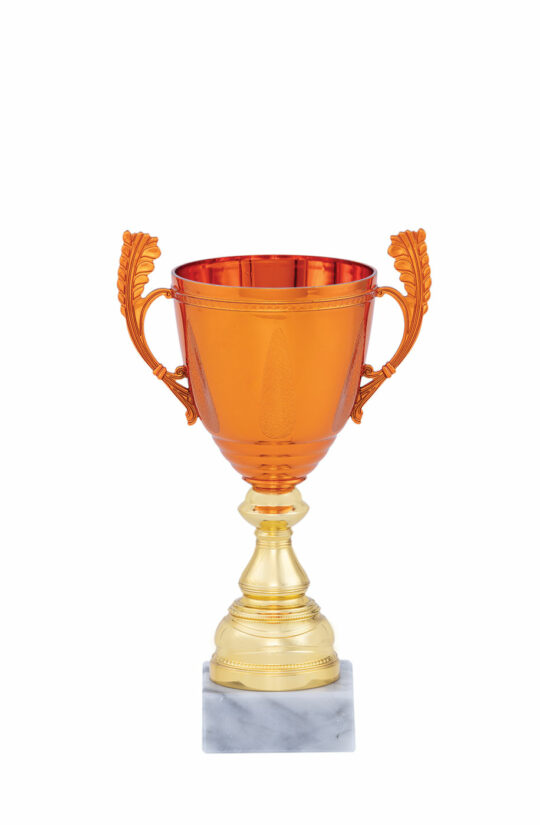 cupa pro40325 bronz