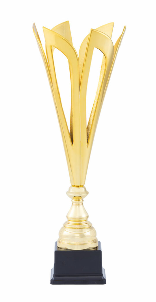 Trofeu 40525 auriu