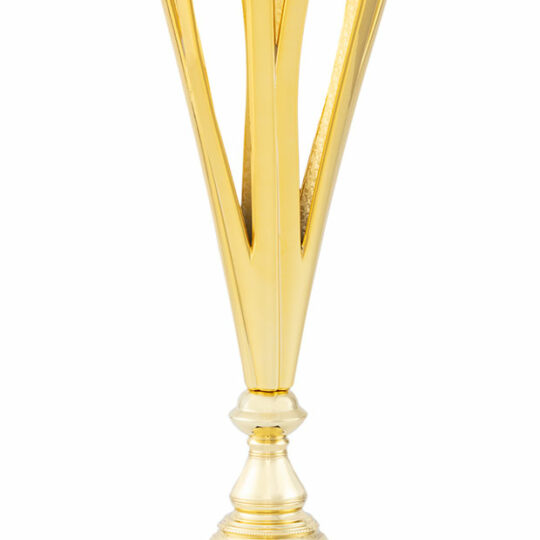 Trofeu 40525 auriu