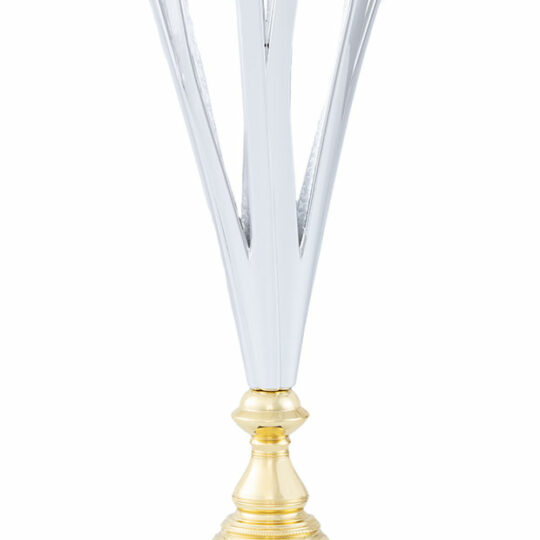 Trofeu 40525 argintiu