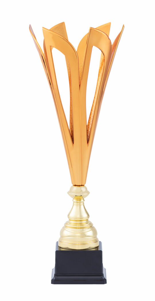 Trofeu 40525 bronz