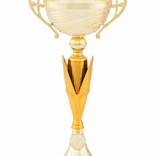 Cupa PRO42025 bronz