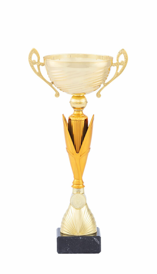 Cupa PRO42025 bronz