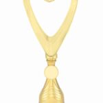 Trofeu pro64225 fara medalie