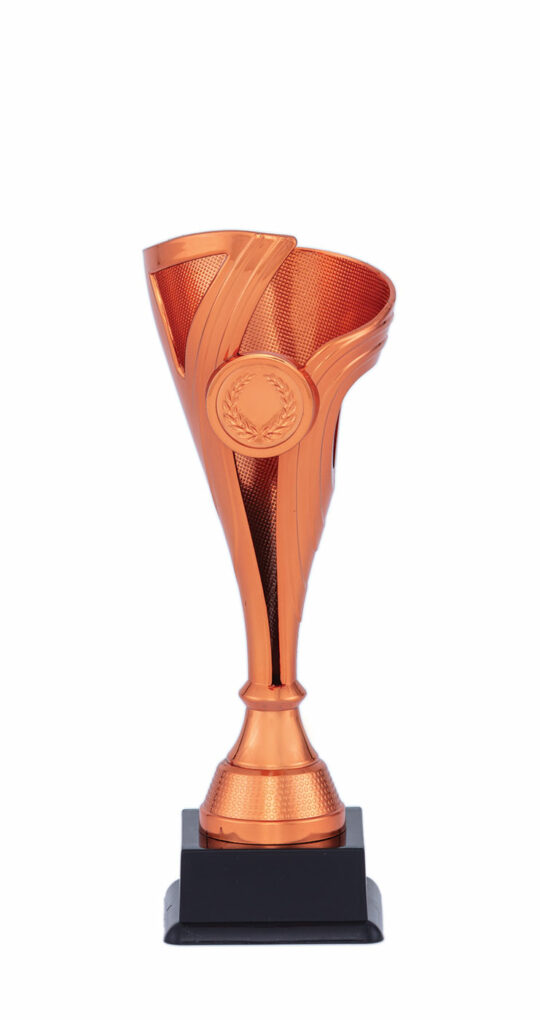 Trofeu PRO67225 bronz