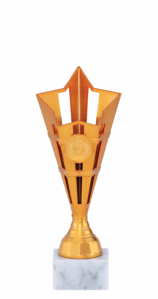 Trofeu PRO69825 design bronz