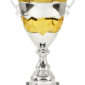 Cupa 10826 nepersonalizata
